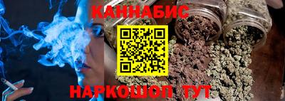 молекула духа Кингисепп