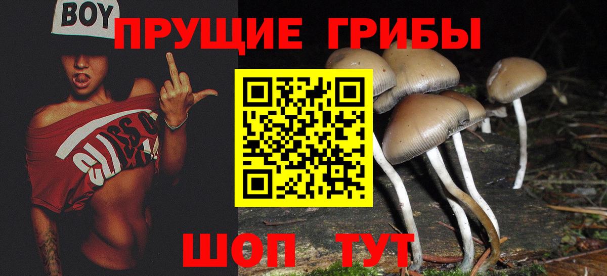 Галлюциногенные грибы ЛСД  Вход с VPN  Черногорск 